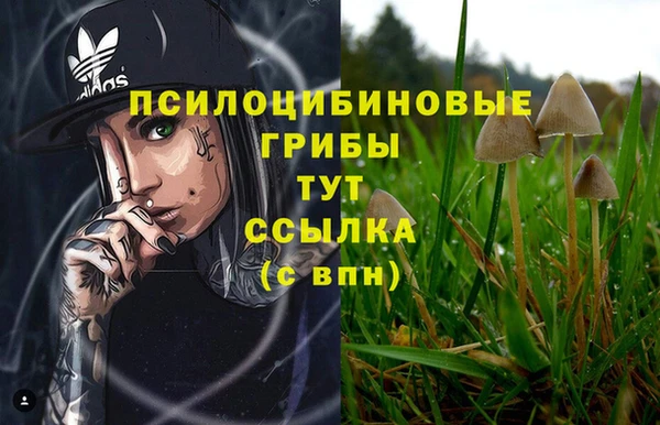 дурь Балахна