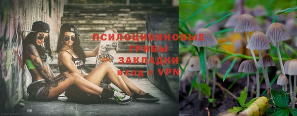 мяу мяу мука Белокуриха